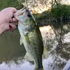 Jaden Lowery - @jadenlowery3 - TikTok