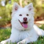 Jaden Macdonald - @jadenmacdonald553 - Instagram