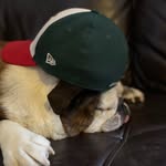 Jaden Mann - @jaden_mann - Instagram