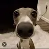 Jade Mattern - @jade.mattern - TikTok