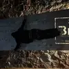 Jayden Maxwell - @jayden.maxwell7 - TikTok