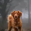 Jayden Mccormack - @jayden.mccormack - TikTok