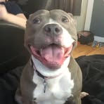 Jaden McLean - Facebook