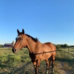 Jaden Merrill - Facebook