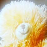 jaden - @jadenmiranda7538 - Instagram