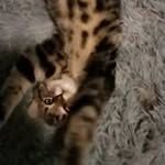 Jaden Monroe - @jadenpritchett27 - Instagram