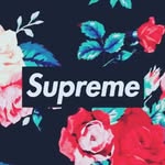 jaden - @jaden_morton_1 - Instagram