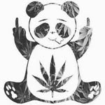 Jaden Moss - @highpanda45 - Instagram