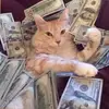 Jaden Murphy - @make.it.happen3 - TikTok