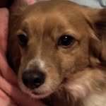 Jaden Nash - @jaden.nash.509 - Instagram