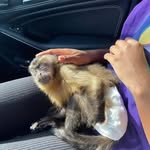 Jaden Nolan - @exoticpetsonly - Instagram