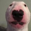 Jaden OBrien808 - @jaden8195 - TikTok