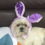 Jaden Olson - @lds_jj_man - Instagram