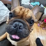 Jaden ortiz - @mr_kroniikz - Instagram