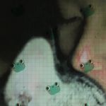 Jaden Prk - @jaden_park_ - Instagram