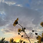 Jayden Parrish - Facebook