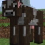Jaden Patel - @minecraftpride - Instagram