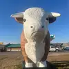 JadenPetersen23 - @jadenpetersen05 - TikTok