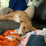 Jaden Petty - @jaden_902 - Instagram