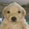 Jaden Ponce430 - @jaden._83 - TikTok