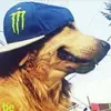 Jaden Ramos - @im.jaden1 - TikTok