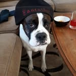 Jaden Ray - @rayjaden388 - Instagram