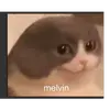 Jaden rich - @stevebcwn - TikTok
