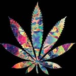 Jaden Roman - @jaden._.8 - Instagram