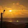 jadensageballs - @jadensageballs - TikTok
