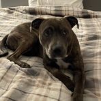 Jayden Saunders - Facebook