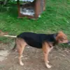 Jaden Scott - @jaden.scott09 - TikTok