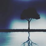 Jaden Settle - @jadensettle0121 - Instagram