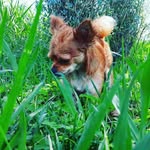 Jaden - @jaden.sharpeaoj.__ - Instagram
