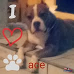 Jaden Shields - Facebook