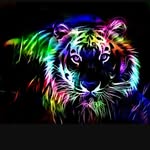 Jaden Sousa - @lifeofjaden1029 - Instagram