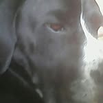 Jaden Stanley - @jaden.stanley.180 - Instagram