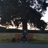 jadenstokes3 - @jadenstokes3 - TikTok