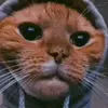 jadenstuart51 - @monxy689 - TikTok
