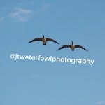 Jaden Terry - @jtwaterfowlphotography - Instagram