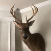 Jaden Townsend - @socountrylife - TikTok