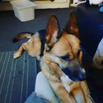 Jaden Walters - @jaden.walters.90 - Instagram