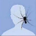 Jaden Webb - Facebook