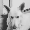 jadenrwebster - @jadenwebster18 - TikTok