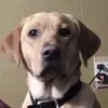 Jaiden Weir - @jaiden.weir - TikTok