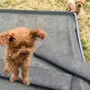 Jaden Winter - @jaden.winter4 - TikTok
