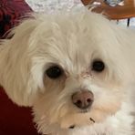 Jaden Wolfe - Facebook