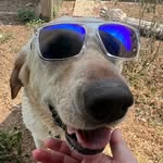 Jaden Wolfe - @jaden4life3 - Instagram