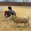 Jaden Wolfe - @jdwolfe8 - TikTok
