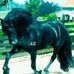Jader Campos - Facebook
