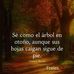 Jader Ortiz - Facebook